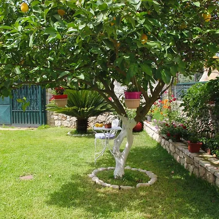 Dimitra ניקיאנה