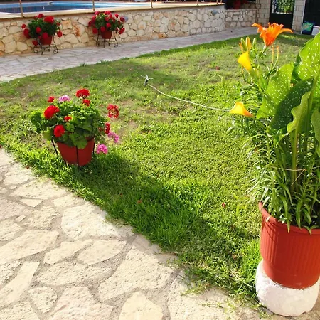 Dimitra ניקיאנה